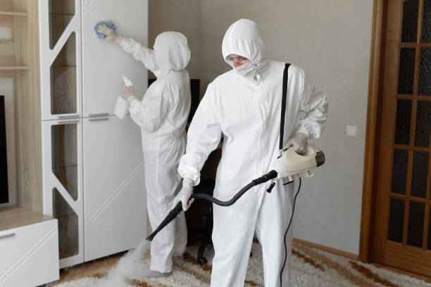 Home Mold Removal in Patterson, LA