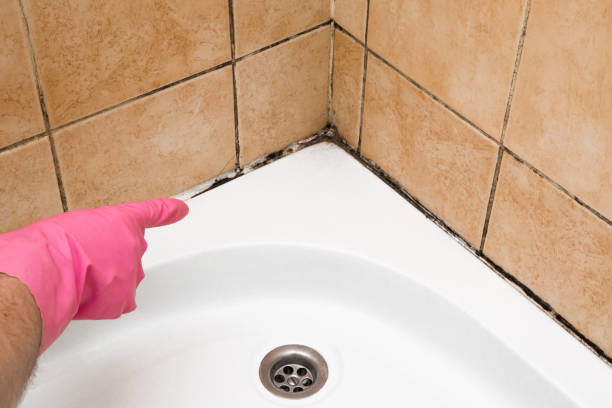Best Residential Mold Removal  in Patterson, LA